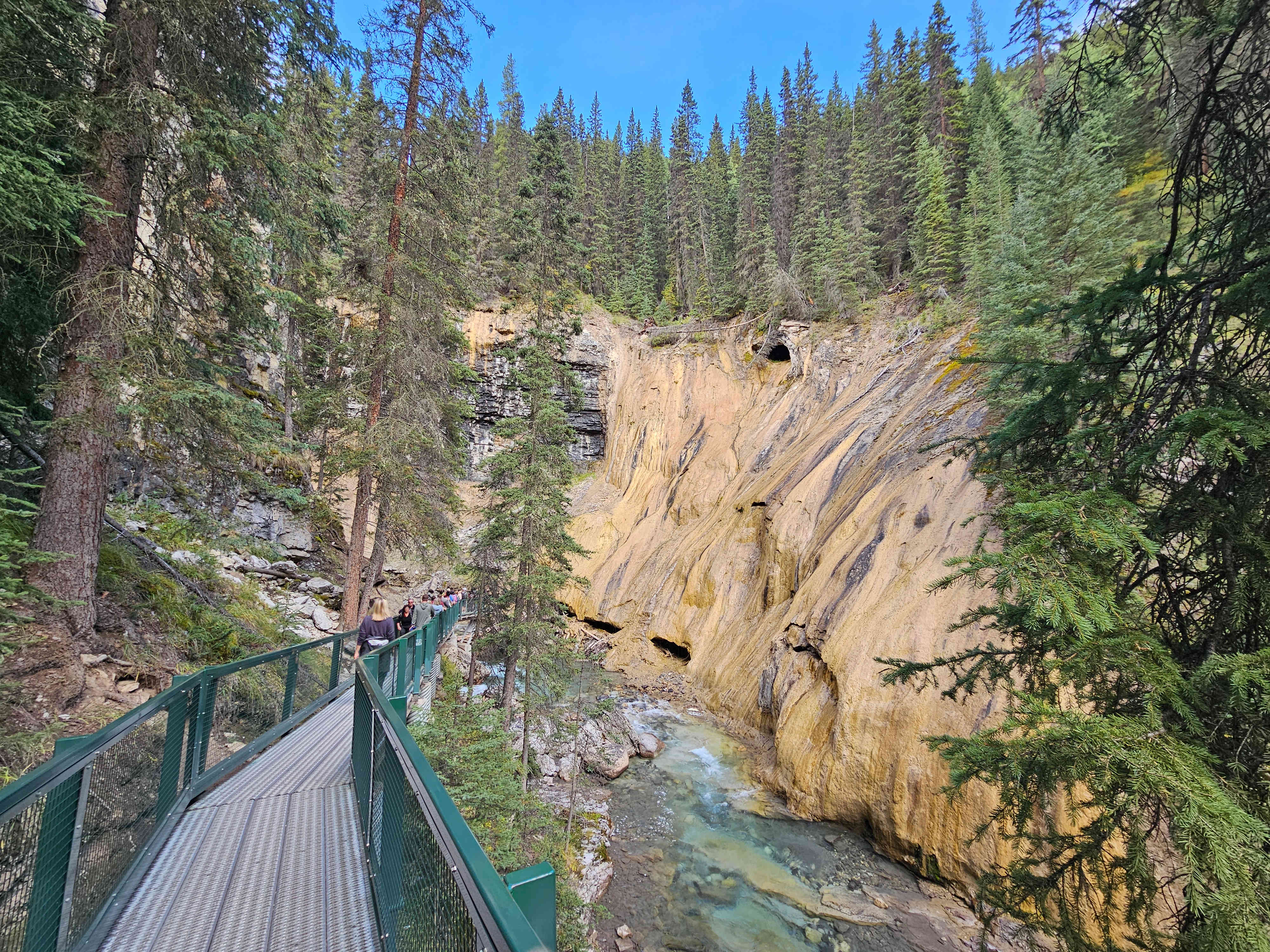 NP Banff